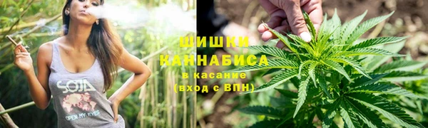 молекула духа Балахна
