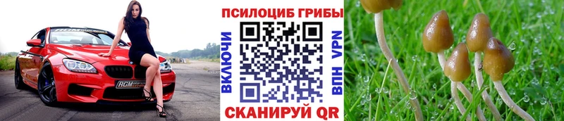 Галлюциногенные грибы Magic Shrooms  блэк спрут ссылки  Верхнеуральск 